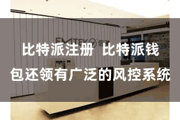 比特派注册 比特派钱包还领有广泛的风控系统