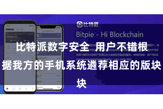 比特派数字安全 用户不错根据我方的手机系统遴荐相应的版块