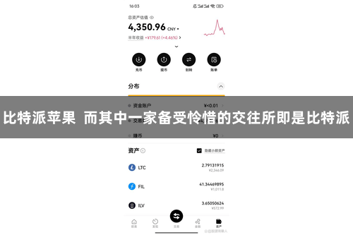 比特派苹果  而其中一家备受怜惜的交往所即是比特派