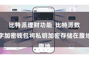比特派理财功能  比特派数字加密钱包将私钥加密存储在腹地